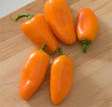 orange lunchbox sweet pepper