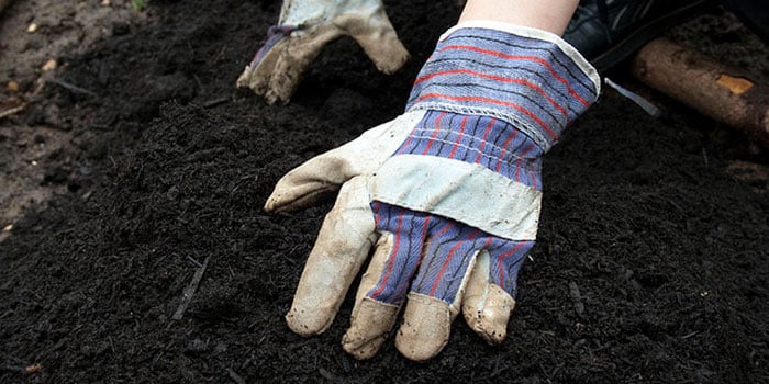 Hands in healthy soil
