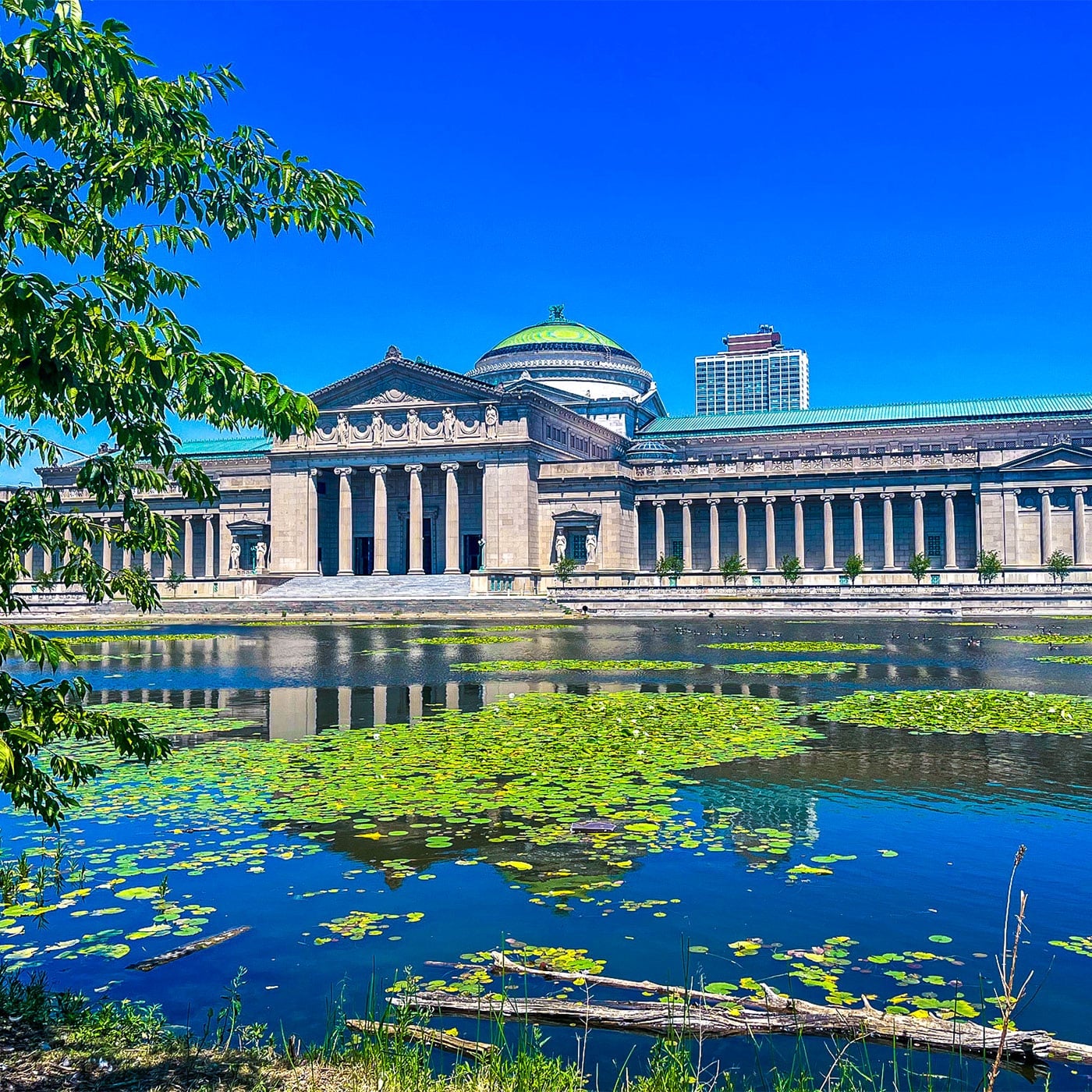 The Museum of Science and Industry